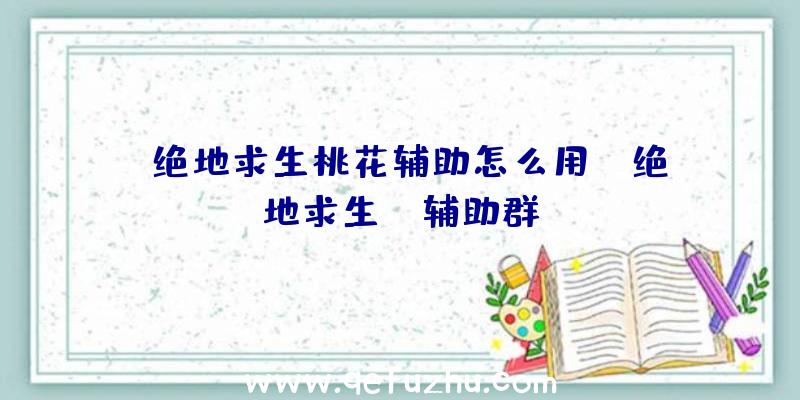 「绝地求生桃花辅助怎么用」|绝地求生aa辅助群